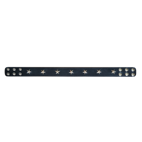 leather collar with stars